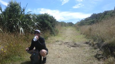 Looking back along the top part of the track, cut through scrub and flax. Saira is drinking water from a cider vinegar bottle.