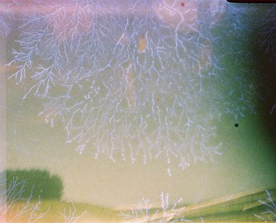 CB24090_CB24090-R4-E121