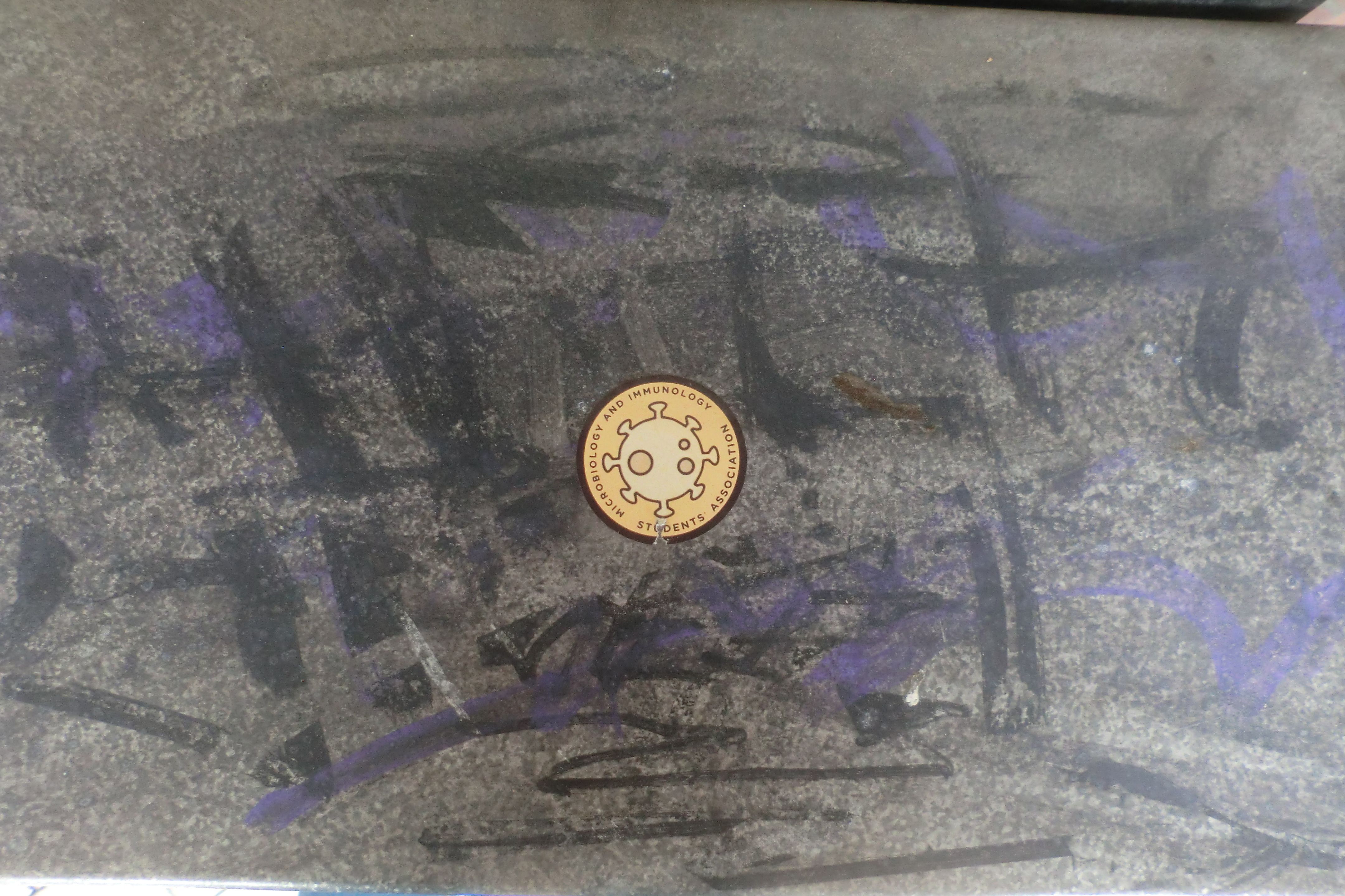 Microbiology and Immunology Students' Association