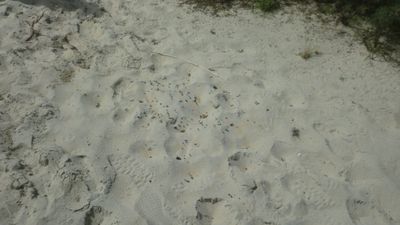 CIMG4113