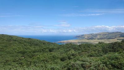 Photo - clear blue sky, low clouds in the distance, blue southern Pacific ocean, dry coastal pasture along the peninsula, and darker green trees and scrub in the foreground.