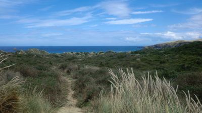 The sandy path crosses low coastal plants to the dunes.